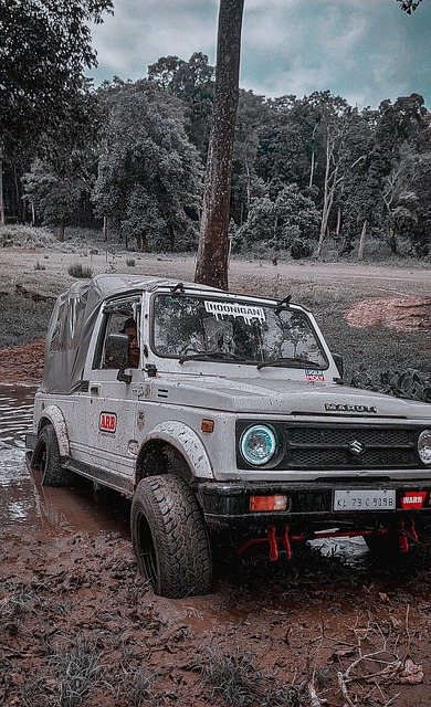 球独特魅力 球独特魅力