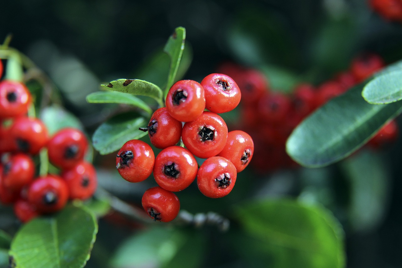 配合及高效 配合及高效